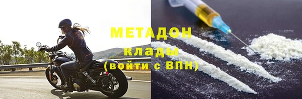 прущие грибы Аркадак