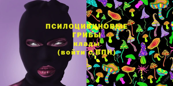 прущие грибы Аркадак