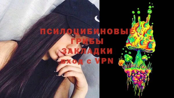 герыч Арсеньев