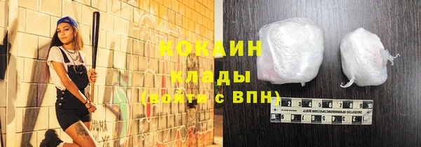 прущие грибы Аркадак
