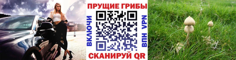 Псилоцибиновые грибы ЛСД  сколько стоит  Рузаевка 